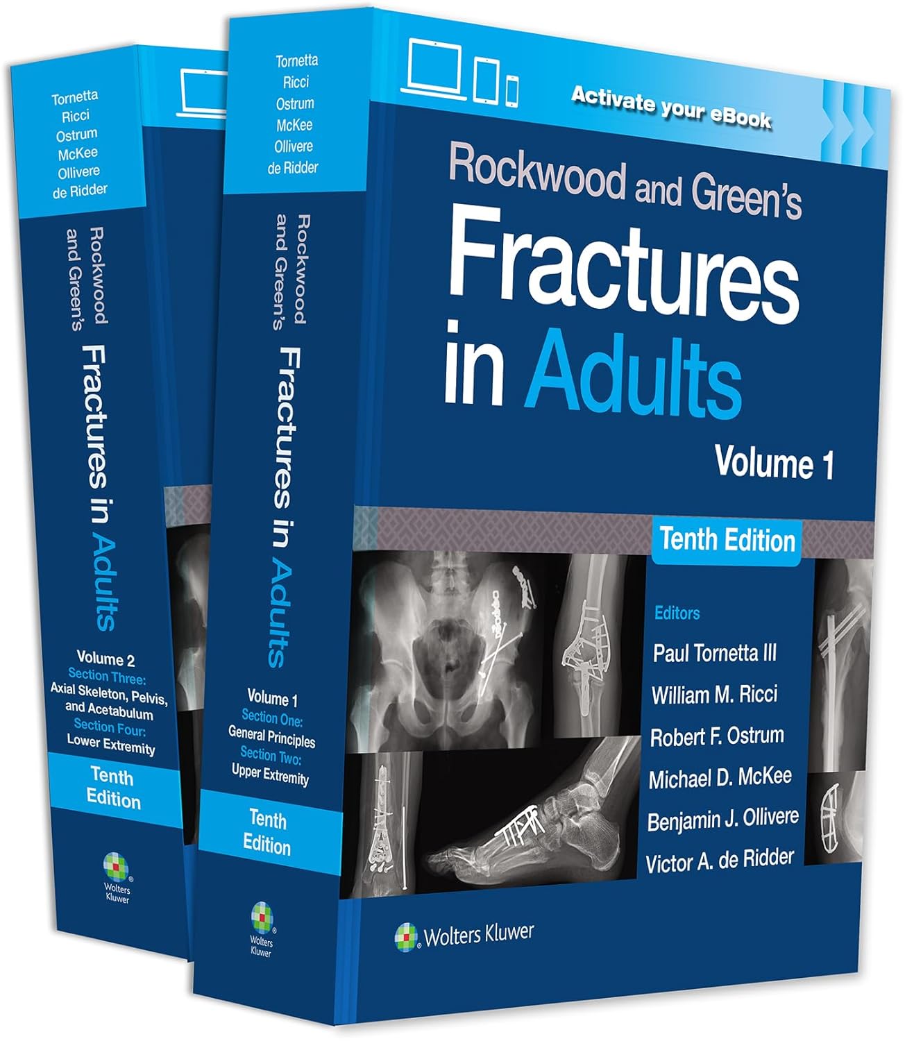 Rockwood and Green's Fractures in Adults (10th Edition) eBook without Multimedia – eBook PDF